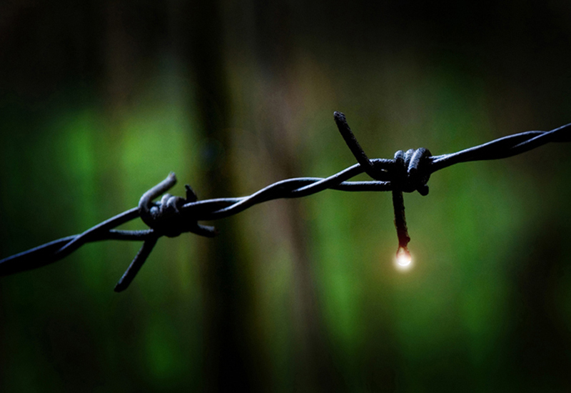 Фото жизнь (light) - Владимир Ященко - корневой каталог - Блик