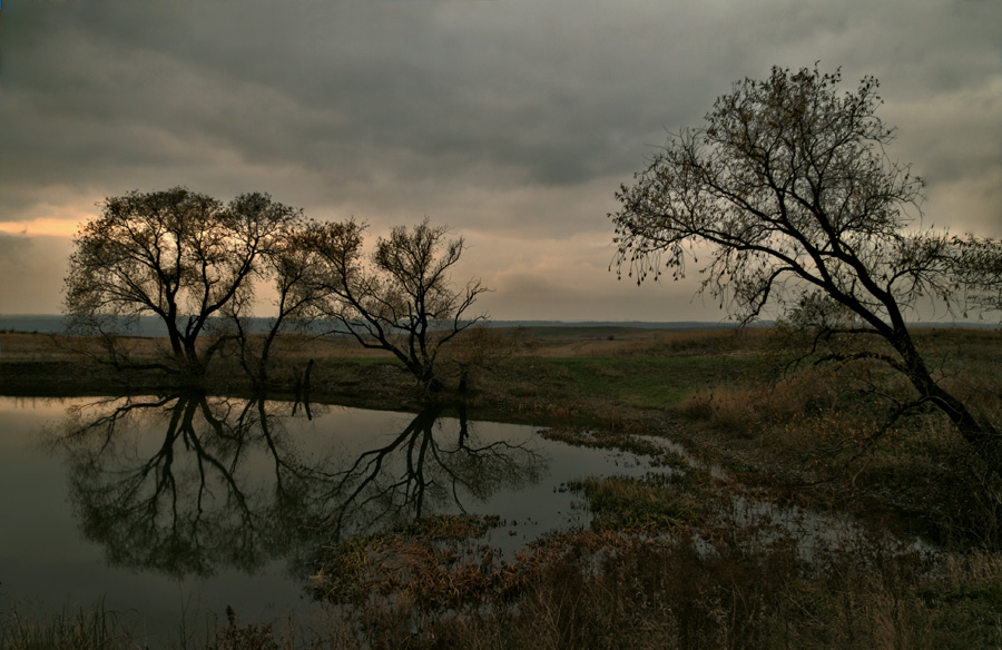 Фото жизнь (light) - Евгений  Зайцев - корневой каталог - Серые дни