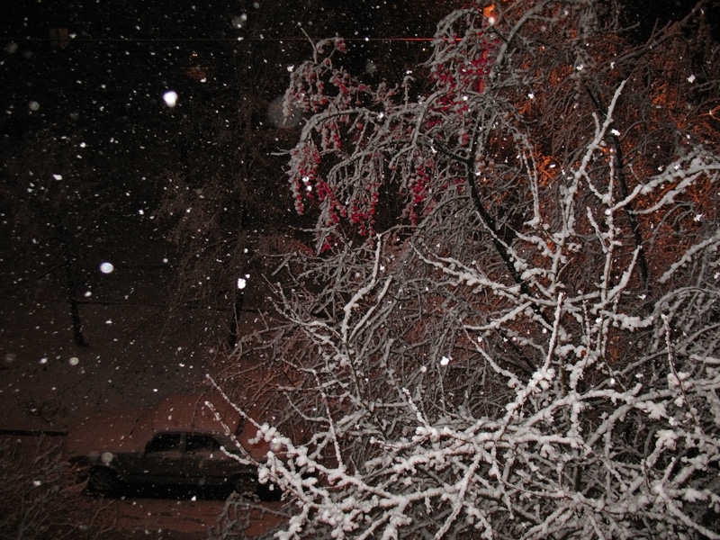Фото жизнь (light) - Анатолий Туманов - корневой каталог - Ночной снегопад