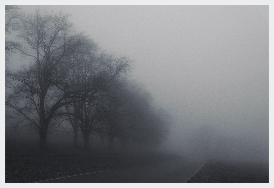 Фото жизнь (light) - mystera - Faszination Nebel. - Fog Way.