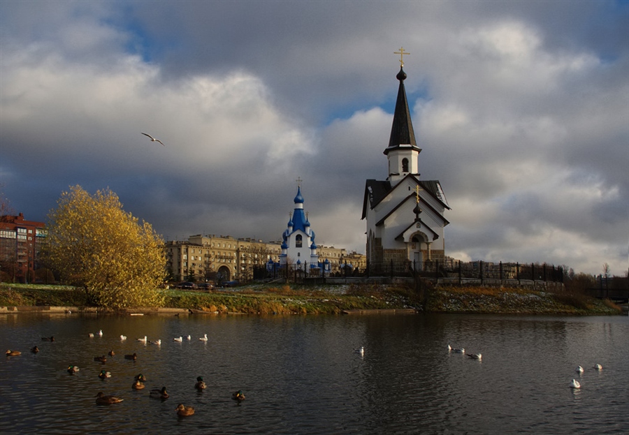 Фото жизнь