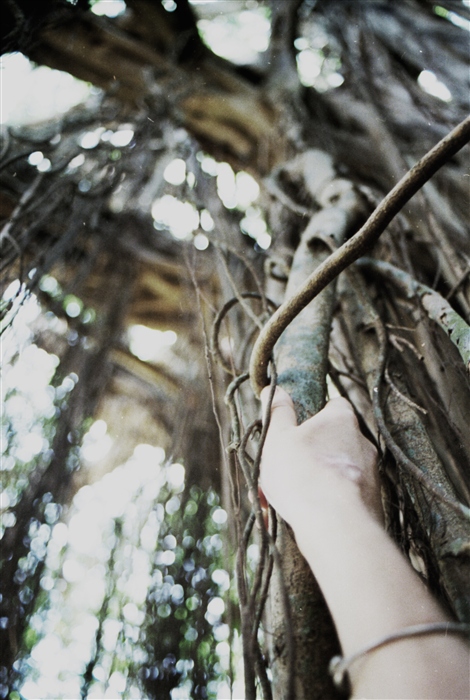 корнями вверх