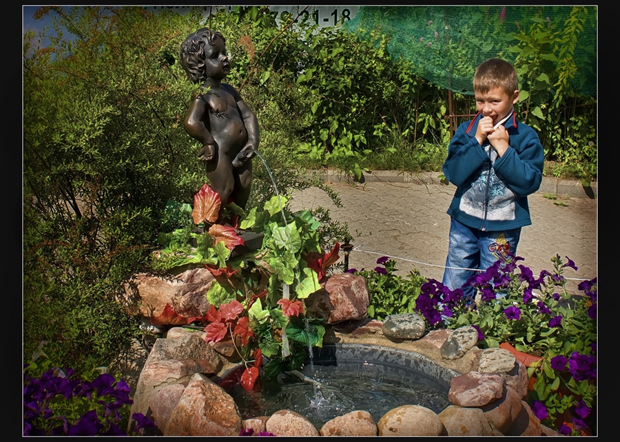Фото жизнь