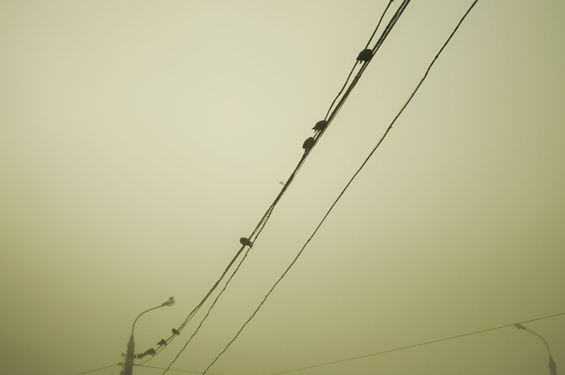 Фото жизнь - MrPitkin - Жанрики - В тумане (3)
