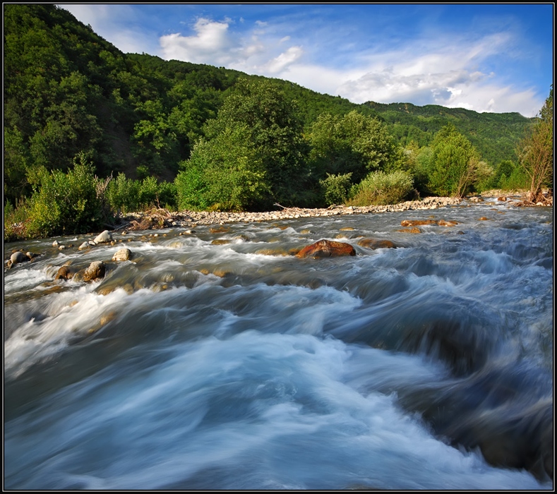 Фото жизнь