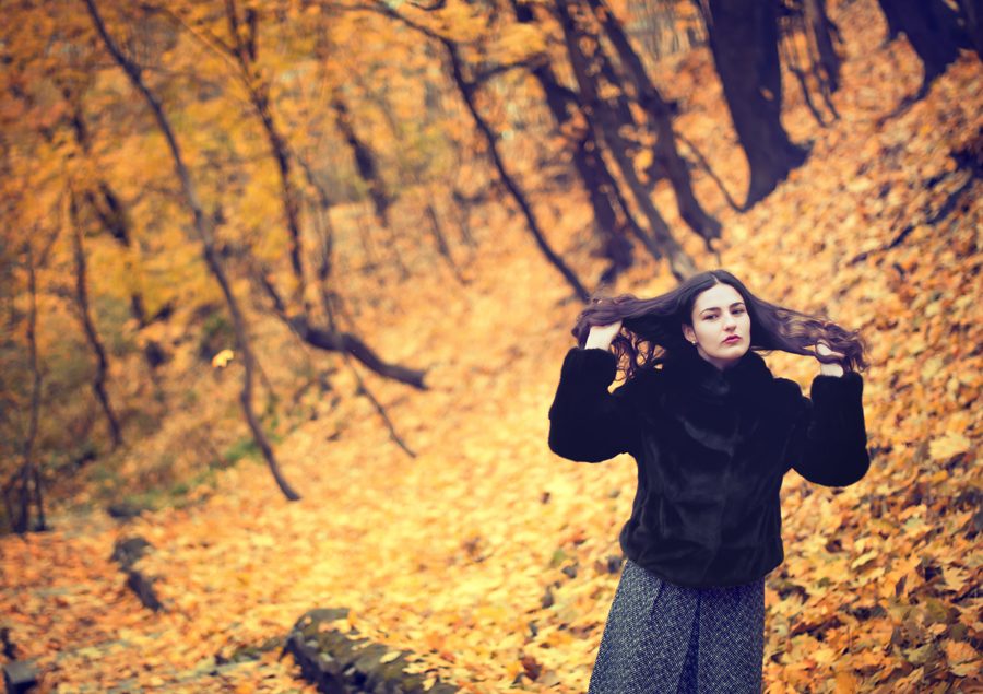 Фото жизнь (light) - Gerasimenko_Vladimir - корневой каталог - слушать как падают листья