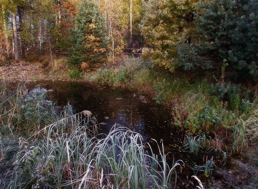 Фото жизнь