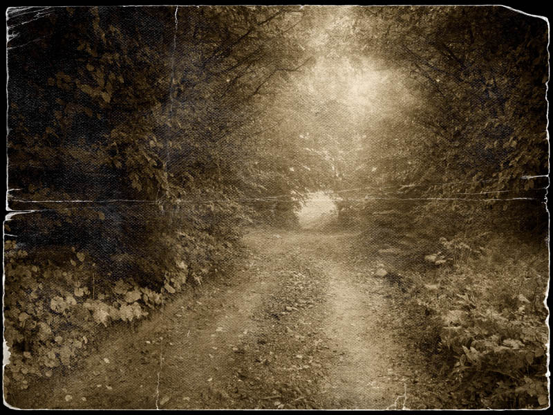 Фото жизнь (light) - CKira - корневой каталог - осень