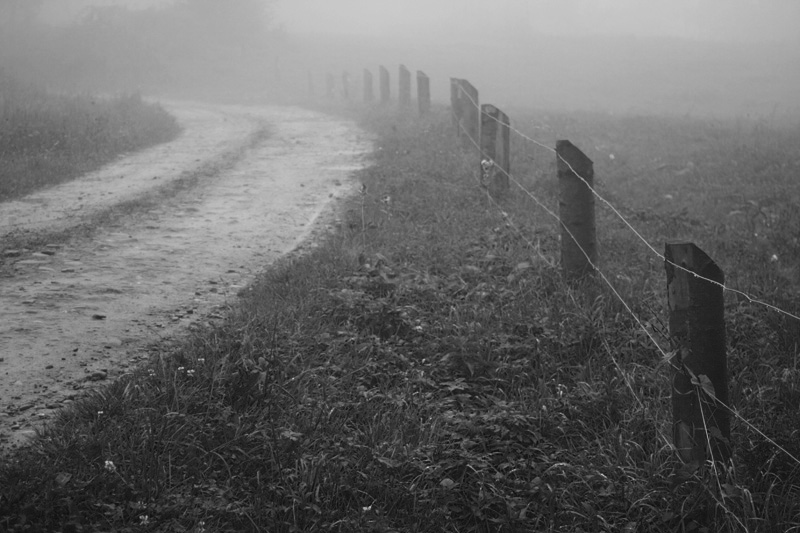 Фото жизнь (light) - CKira - корневой каталог - ритм