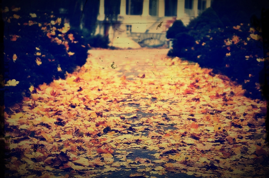 Осенний покров..