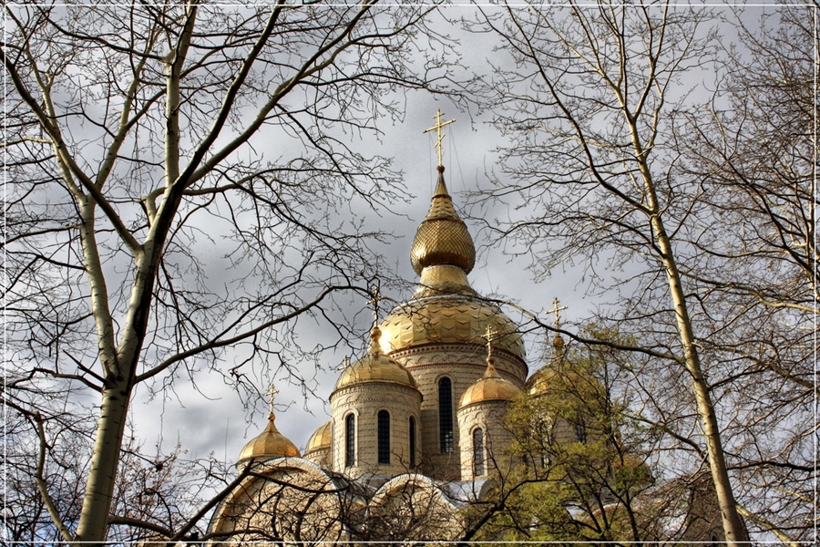 Фото жизнь