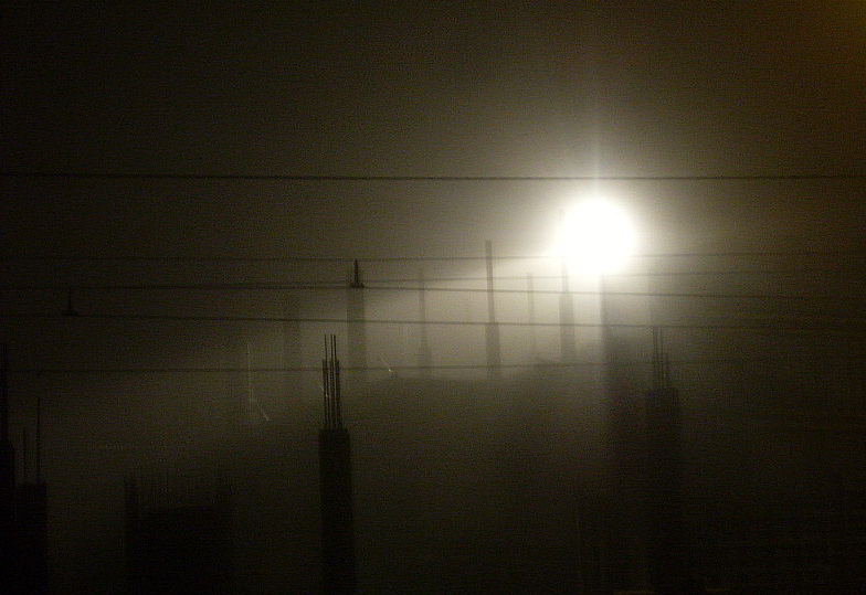 Фото жизнь - merella - корневой каталог - туман