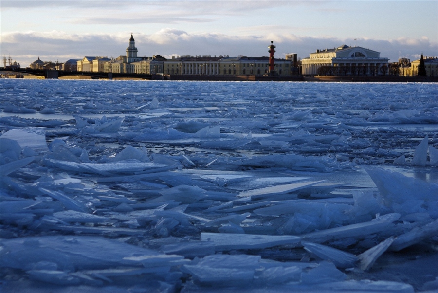 Фото жизнь
