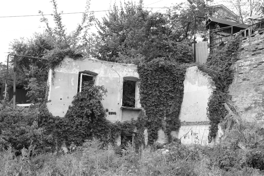 Фото жизнь