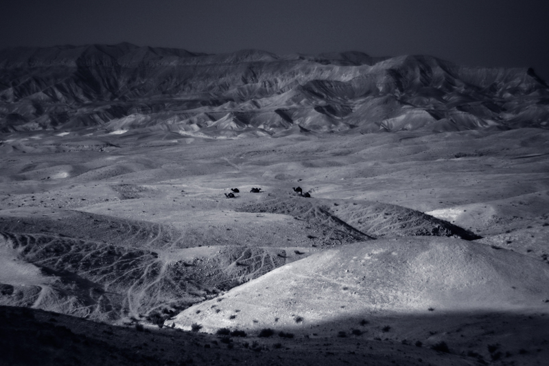 Фото жизнь - Alex Rachlis - Пейзажи - Иудейская пустыня