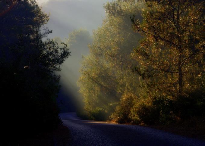Фото жизнь (light) - Alex Rachlis - Пейзажи - ...