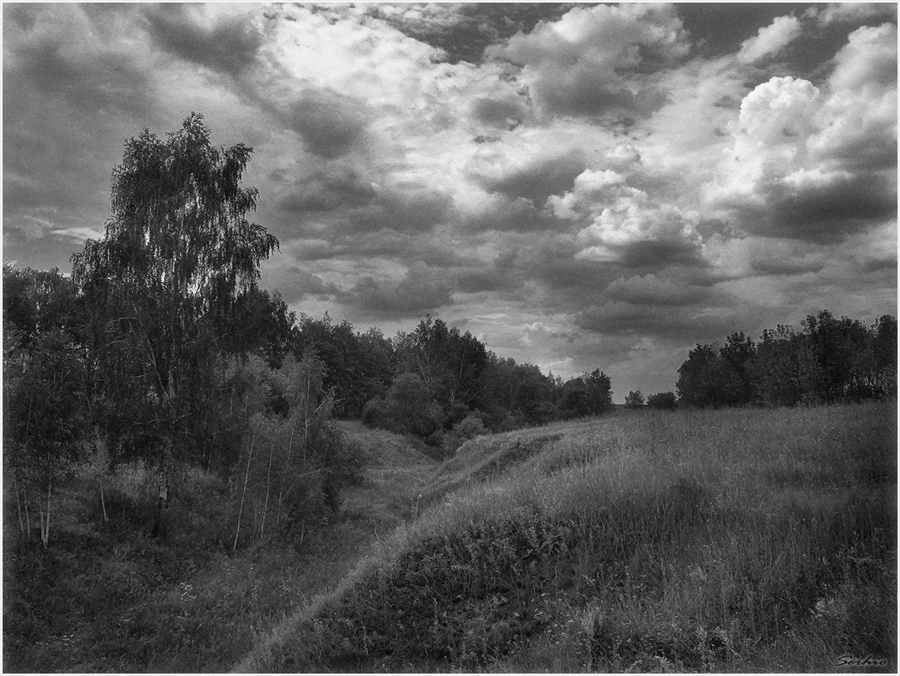 Фото жизнь