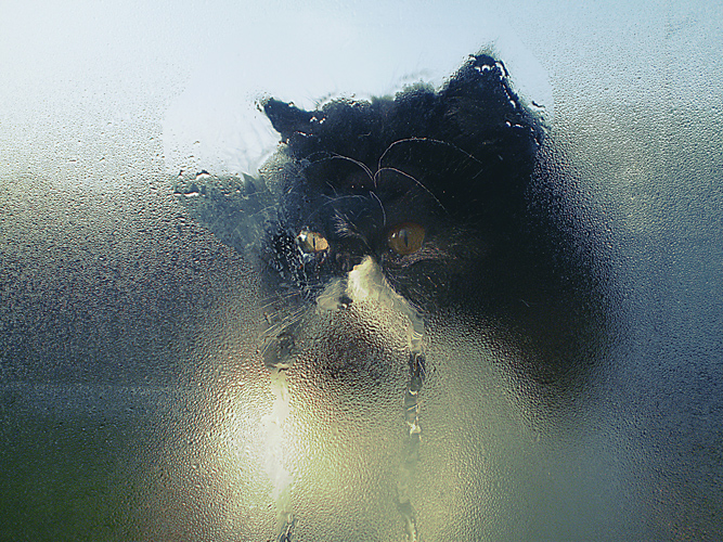 Фото жизнь (light) - Юрій Заверюха - корневой каталог - """