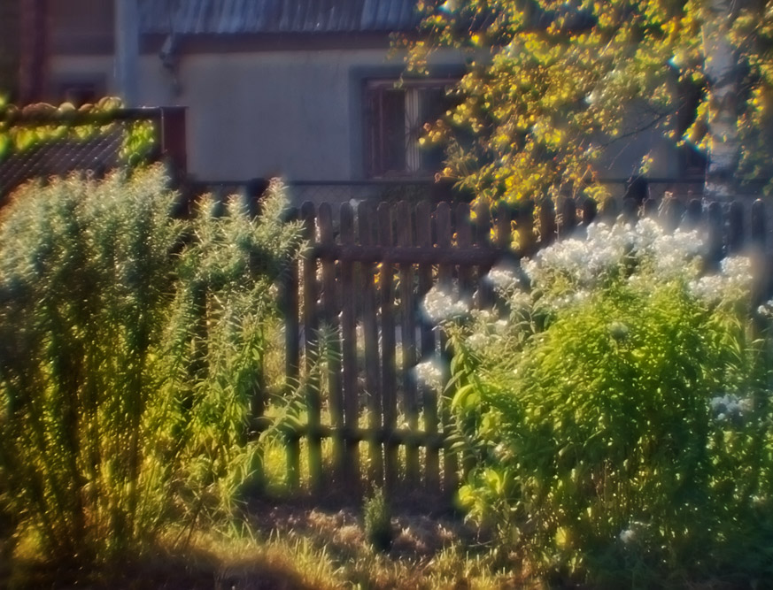 Фото жизнь (light) - Надежда Квитка - ПАПКА: МОНОКЛЬ и Lensbaby 3G - Осень за околицей... Солнце долу клонится... Расточая аромат, Флоксы украшают сад..