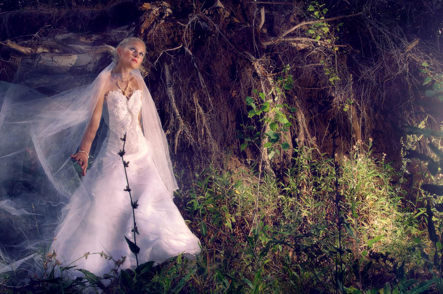 Фото жизнь (light) - Андрей Маврицкий - корневой каталог - невеста в лесу