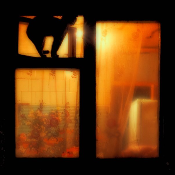 Фото жизнь (light) - Артур Милюс - корневой каталог - ***