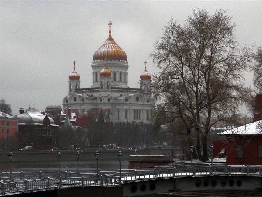 Фото жизнь