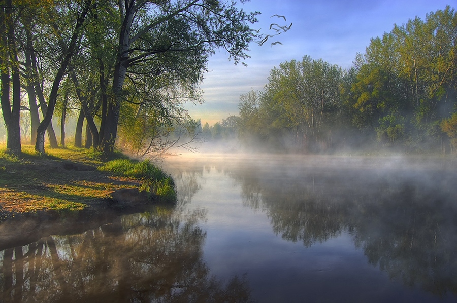 Фото жизнь