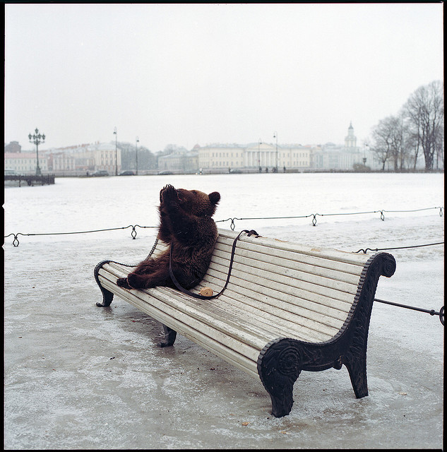 Фото жизнь (light) - Фотошкола SHOT - корневой каталог - by Evgeny Luchisky
