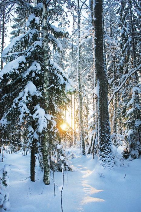 Фото жизнь