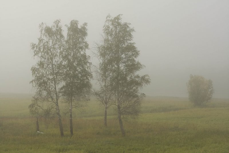 Фото жизнь - Али Карнаев - корневой каталог - призрачный туман