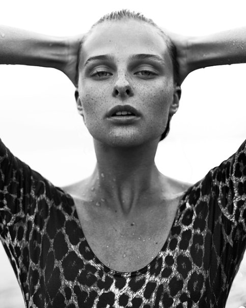 Фото жизнь (light) - Фотошкола SHOT - корневой каталог - by Dmitry Ivanov