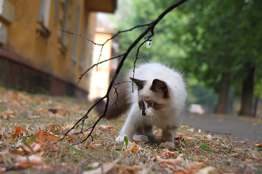 Фото жизнь