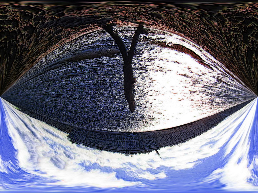 Фото жизнь (light) - Борис Добриян - корневой каталог - стенки раковины