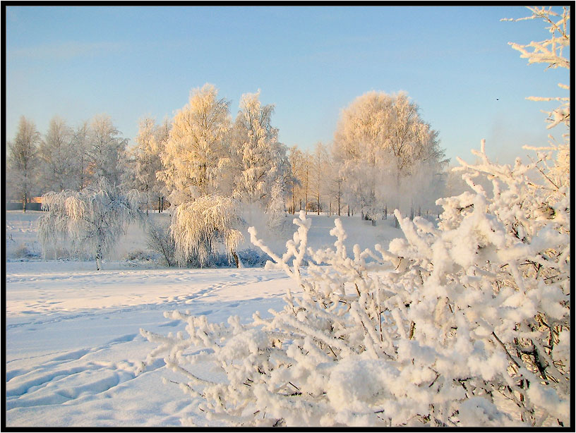 Фото жизнь (light) - borisboris - корневой каталог - ..и выпал снег.