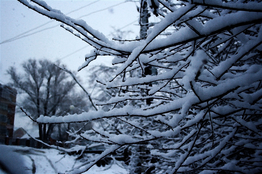 Фото жизнь