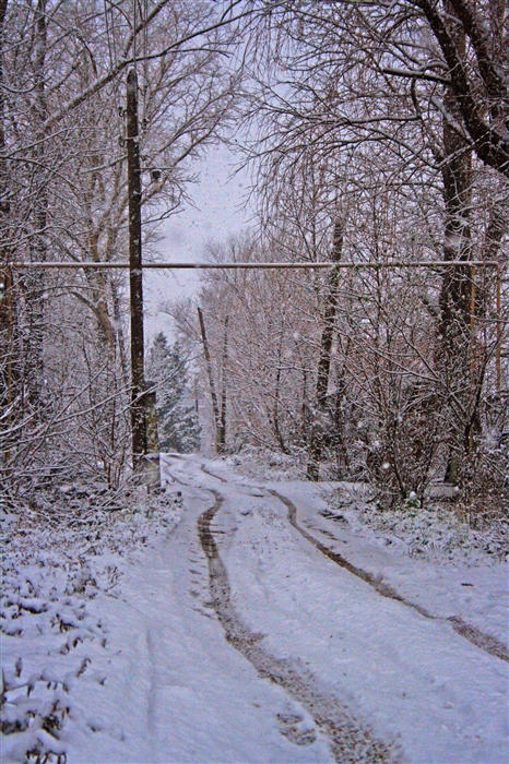 Фото жизнь