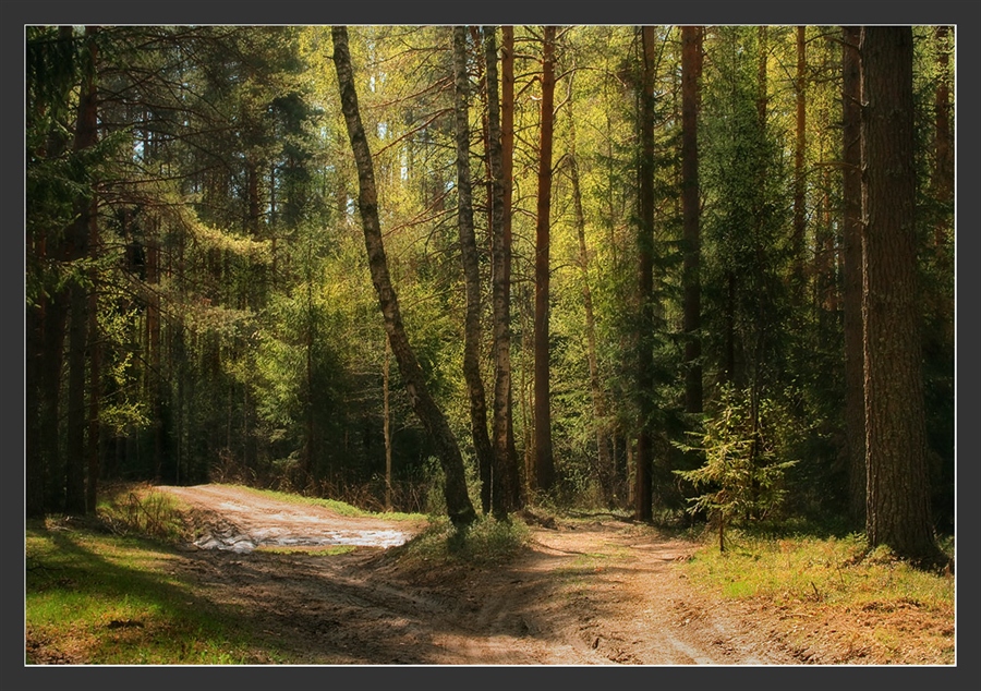 Фото жизнь