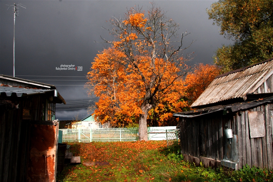 Фото жизнь