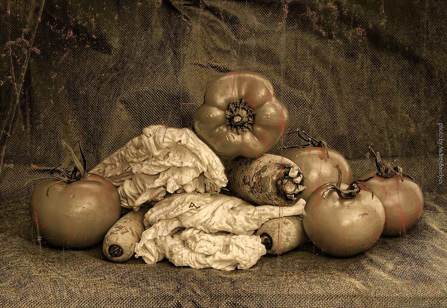 Фото жизнь (light) - AndreySavelyev - корневой каталог - Стилизация