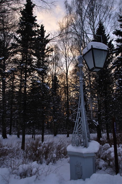 Фото жизнь