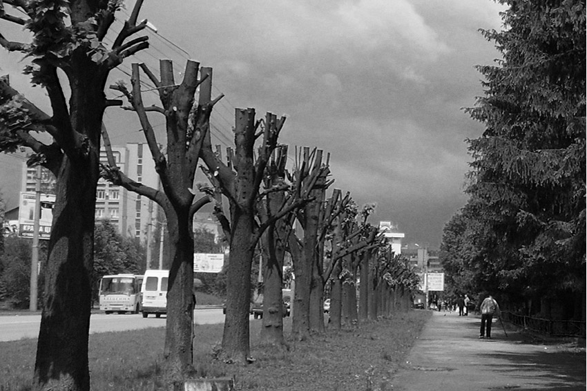 Фото жизнь (light) - CKira - корневой каталог - ***