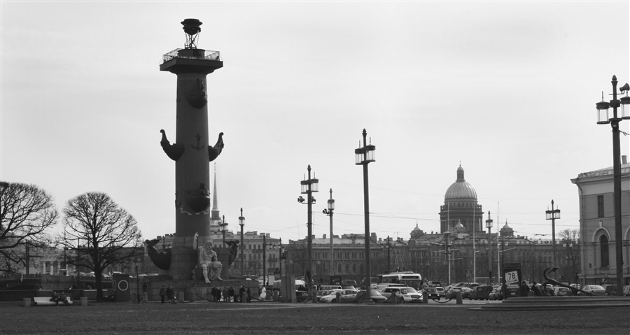 Фото жизнь