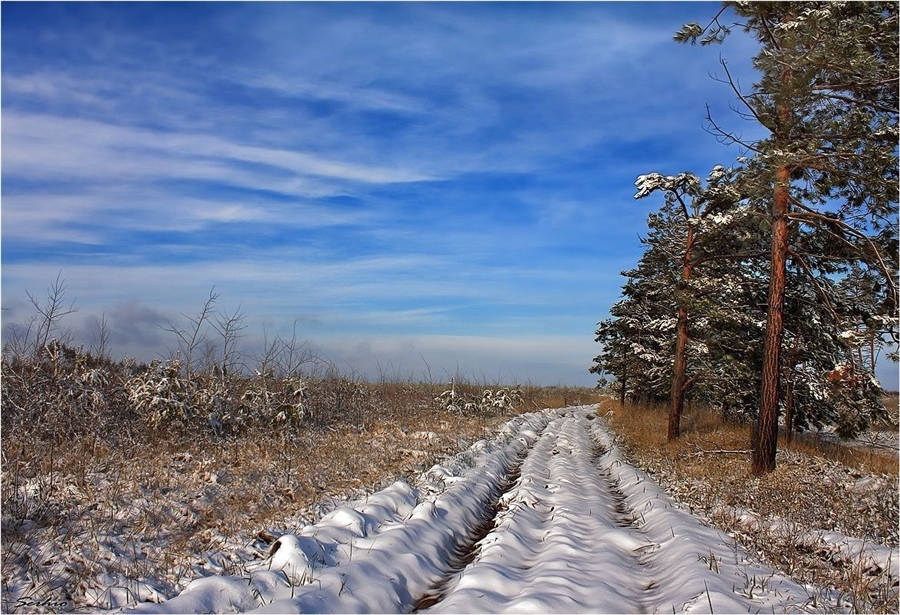 Фото жизнь