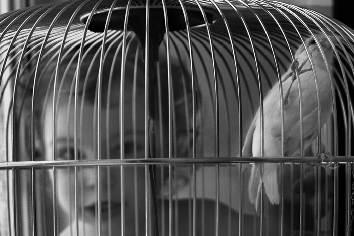 Фото жизнь (light) - Катерина Соболева - детский мир - детка в клетке