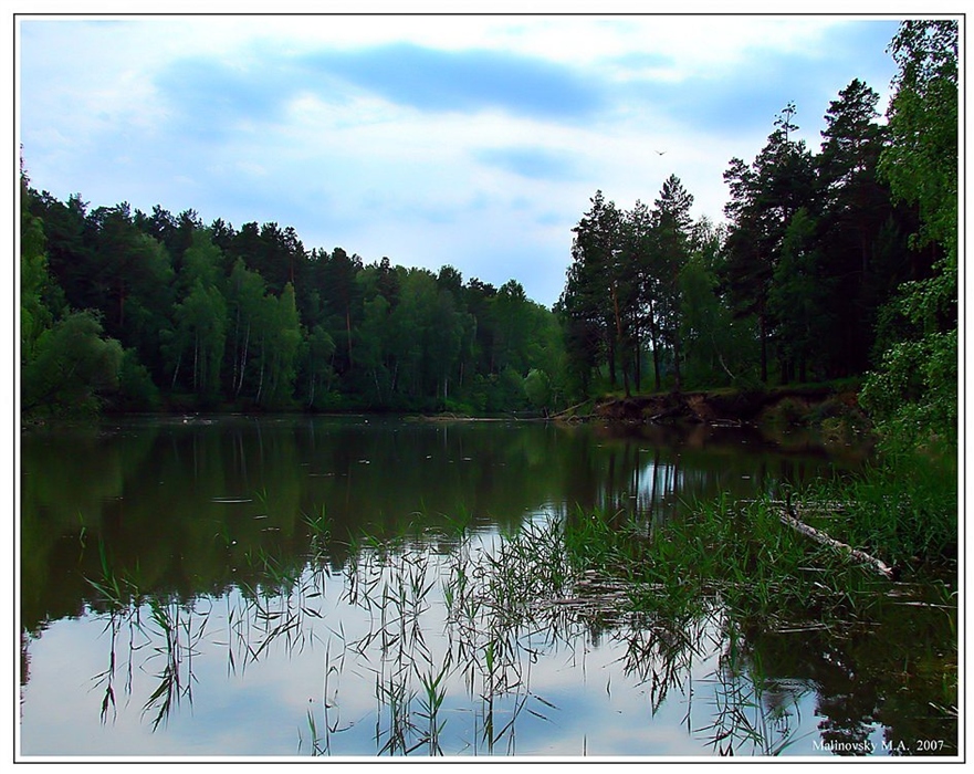 Фото жизнь