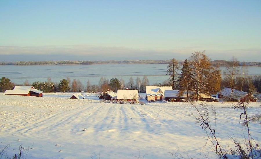 Фото жизнь (light) - Solveig - Финские картинки - зимнее утро на ферме