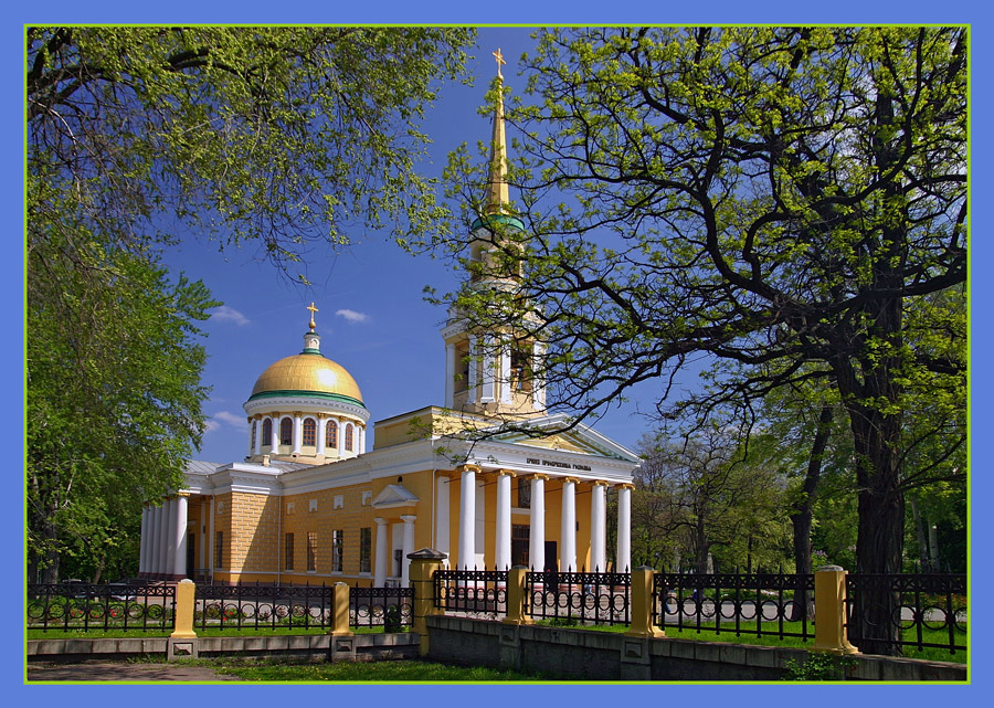 Фото жизнь (light) - Натали Вакорина - корневой каталог - Весеннее убранство