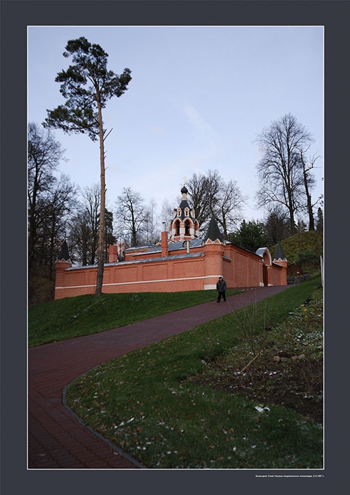 Фото жизнь