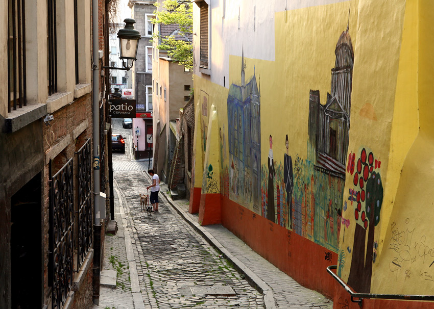 Фото жизнь (light) - VVP - корневой каталог - дама с собачками