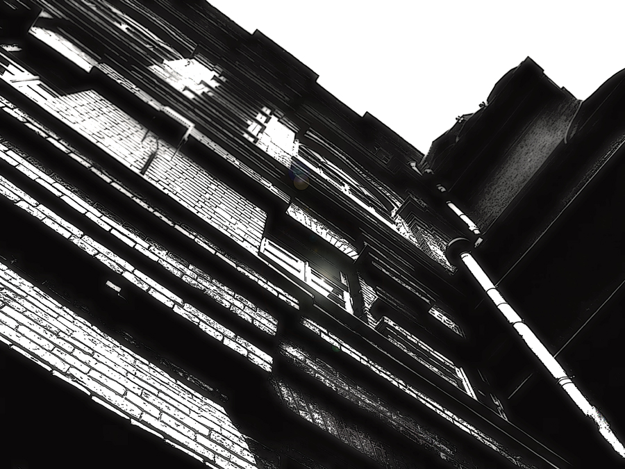 Фото жизнь (light) - smanyshev - Черное и белое - *****